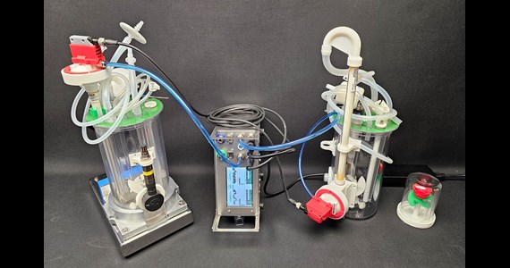 Clotho drive Thalia + Clio