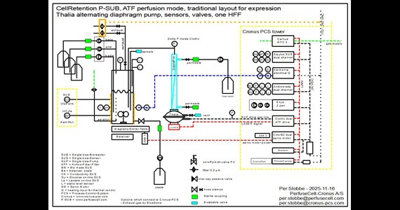 P SUB ATF HFF+Cronus
