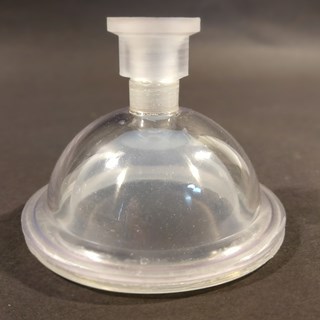 Naked Aglaea A-SUE.jpg