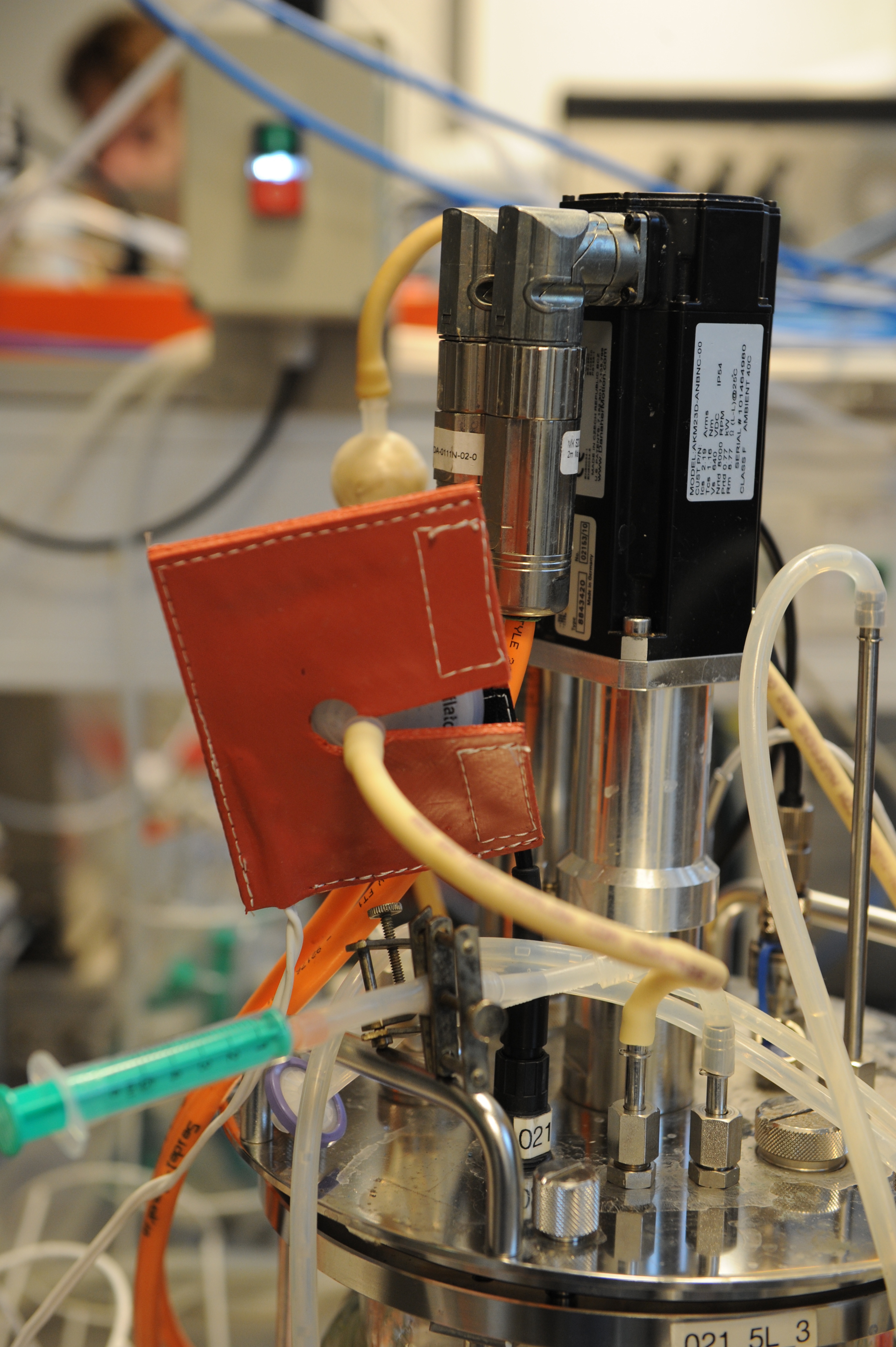 SFH on 3 liter STR.JPG