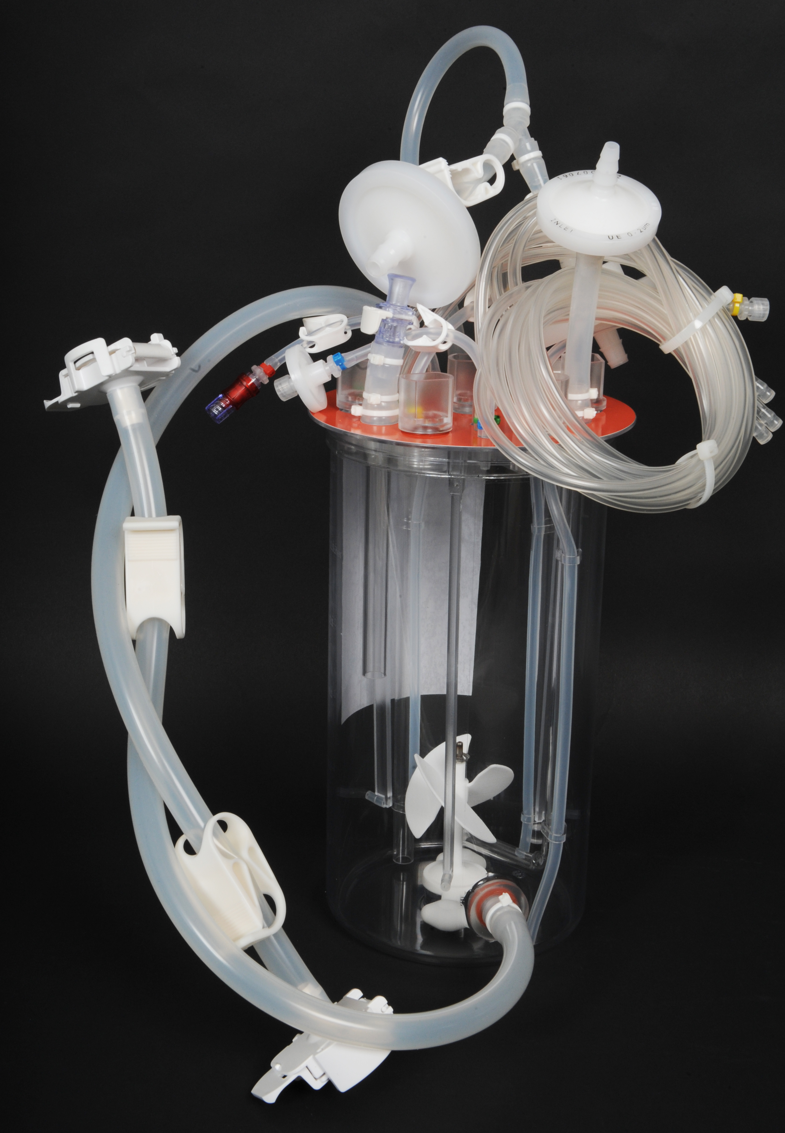 LowRider-2 dual connectors.JPG