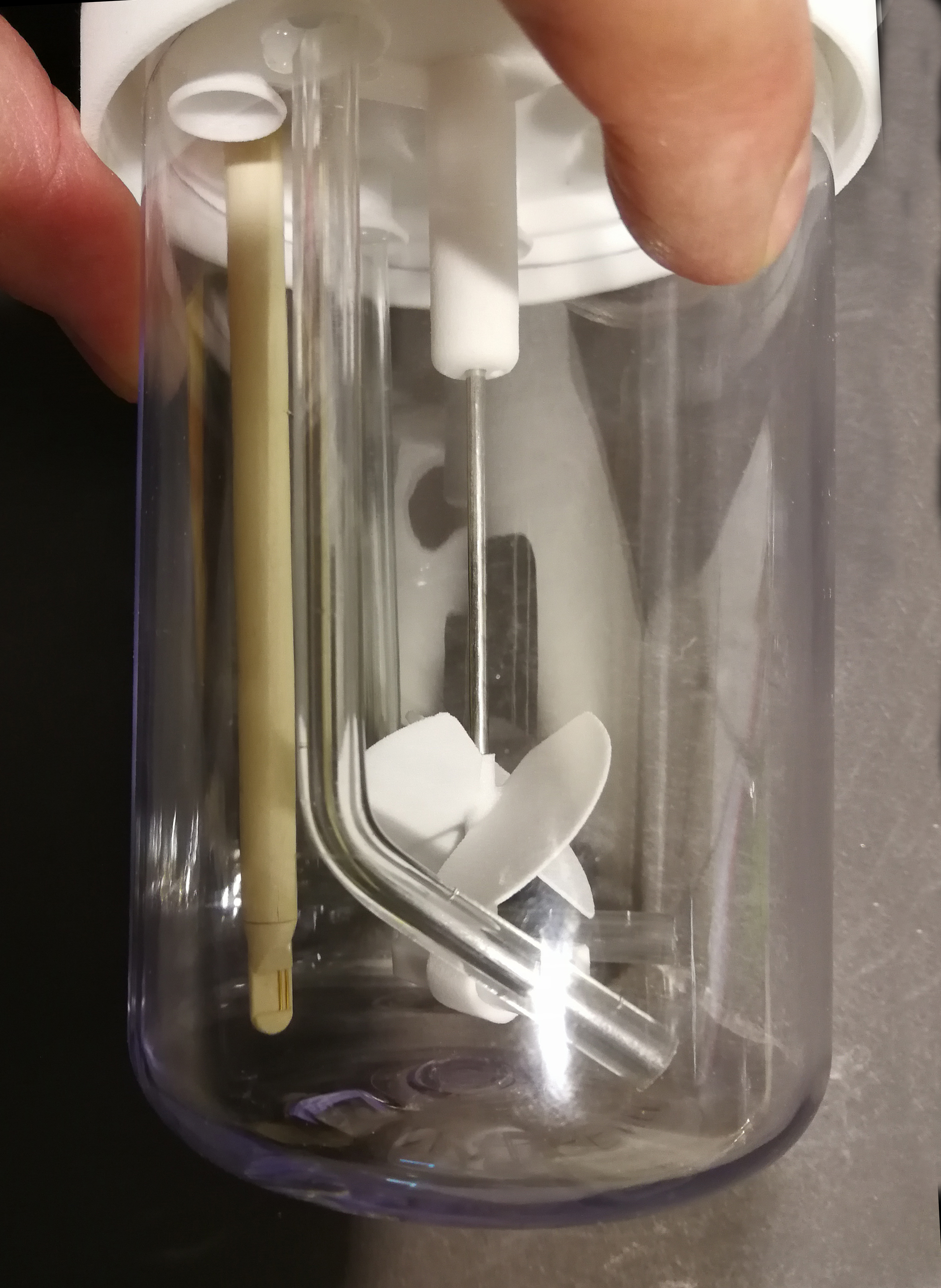 Pico in 500 ml CellVessel.jpg