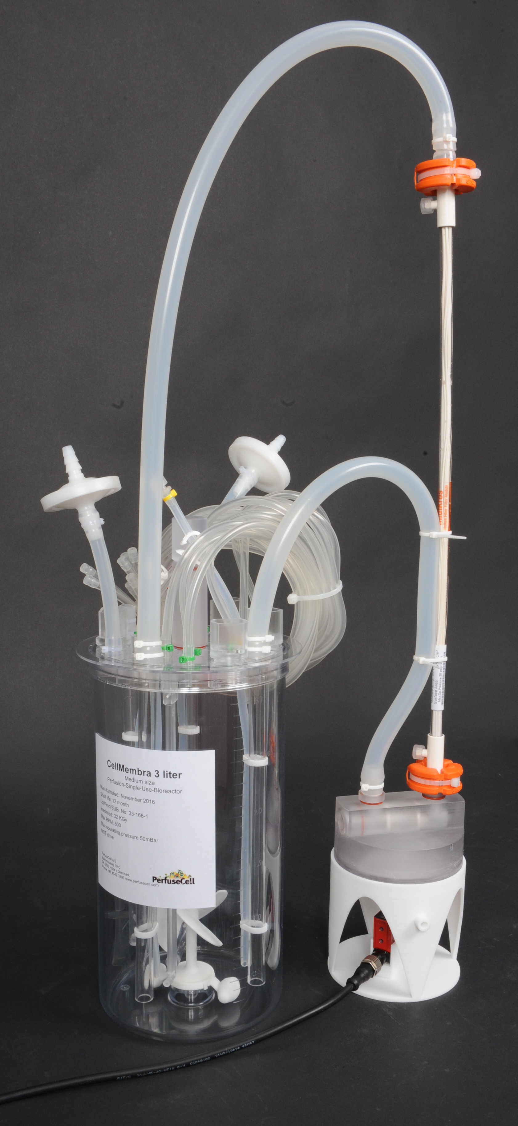 Cellmembra 3 On Foot