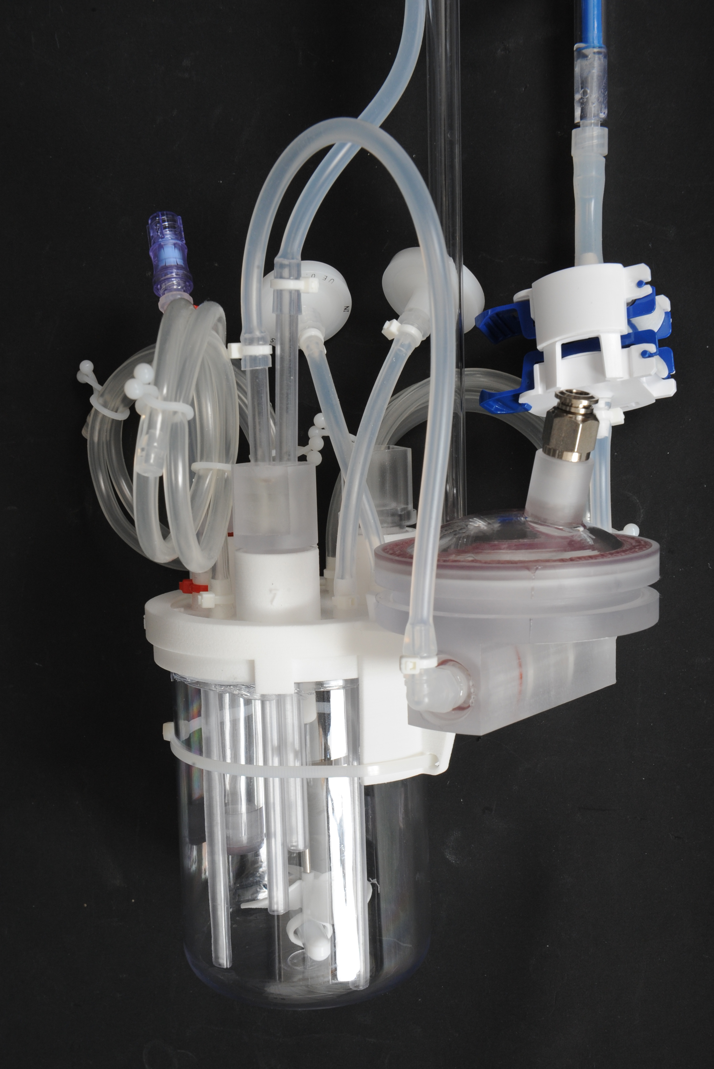 Cellmembra Detail CPC