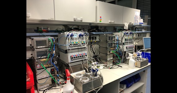CellMembra bioBLU dual towers