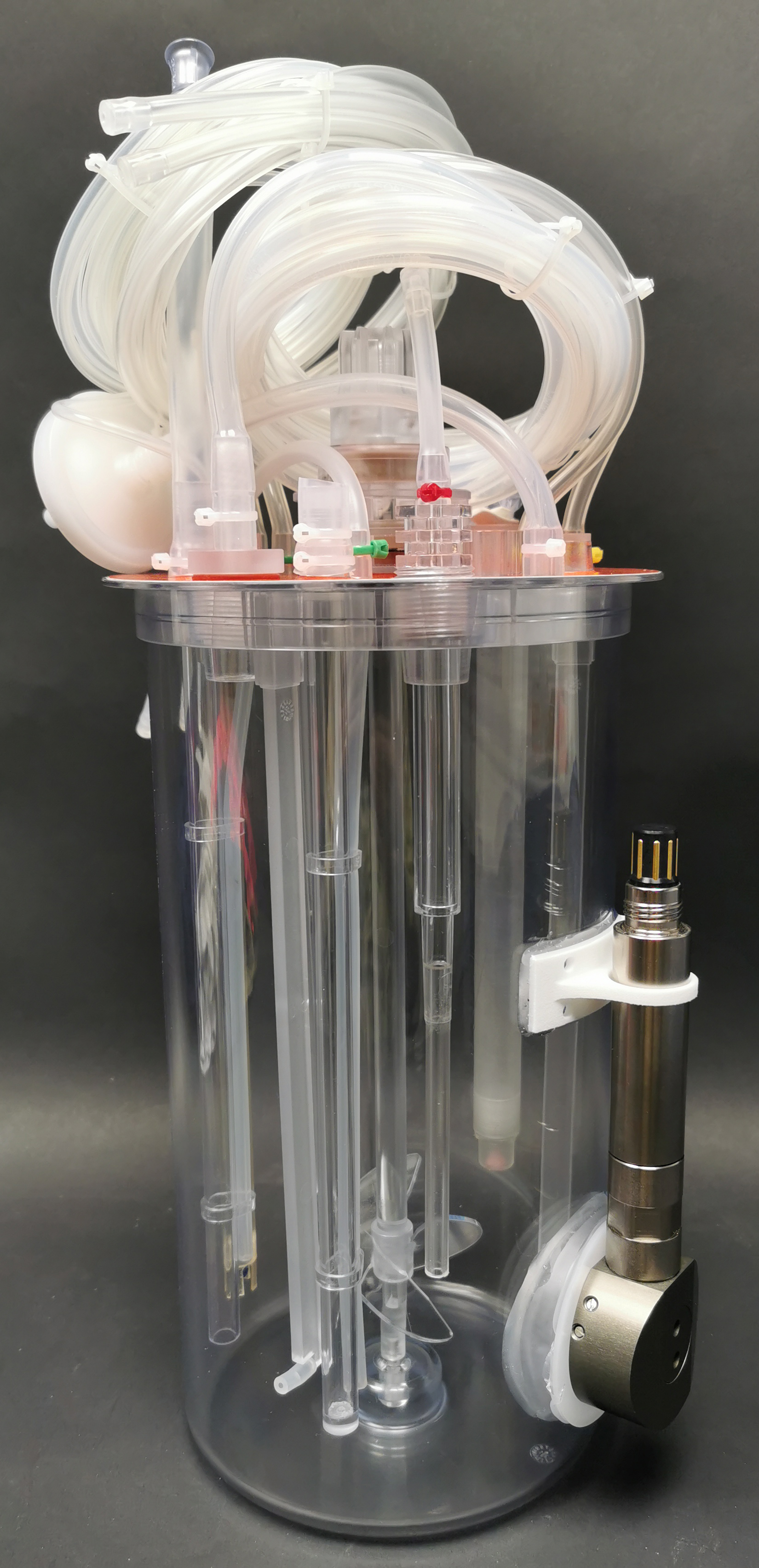 2022 11 23 3 Liter Incyte