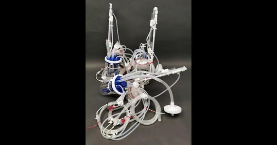 triple ver 8 bioBLU CellMembra