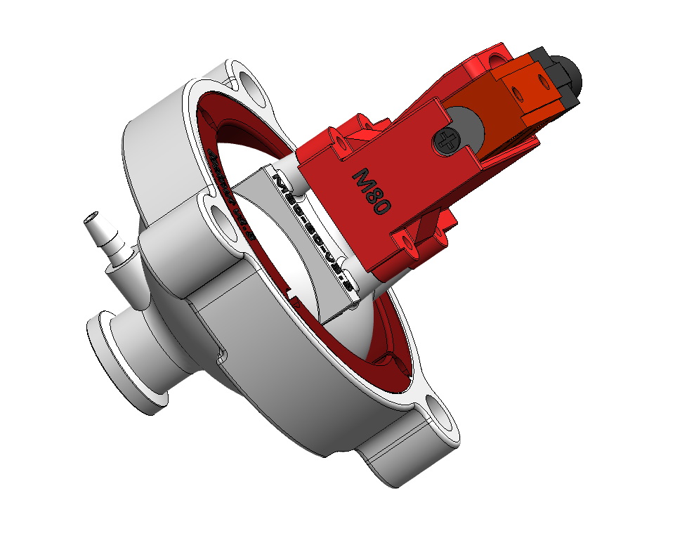 M80 2024 01 25 192038