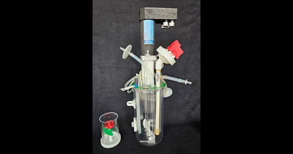 SUBmerged 3 SepraPor+angled Thalia