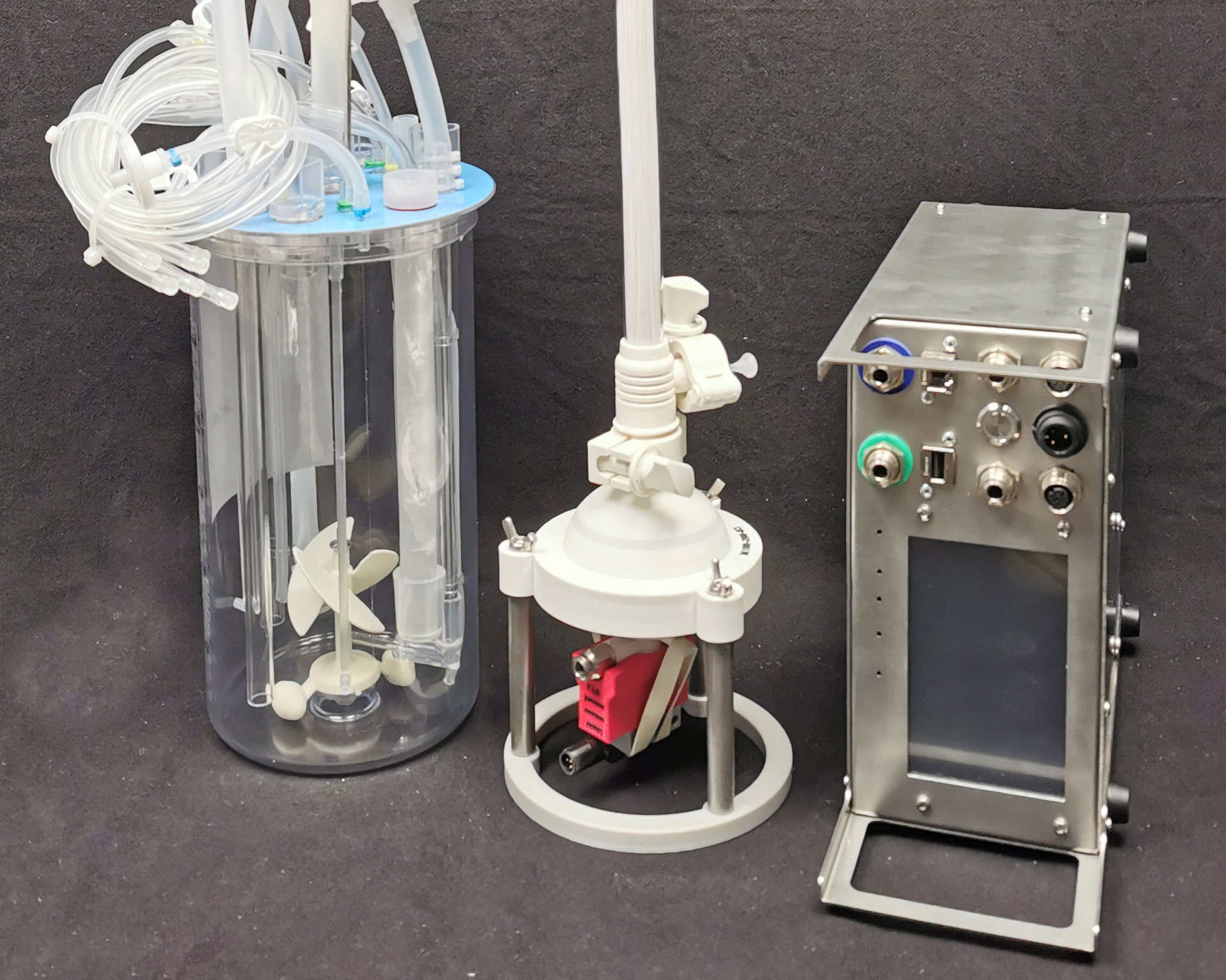 P SUB + Thalia +Clohto