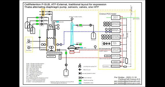 P SUB chart ATF Ext HFF+Cronus