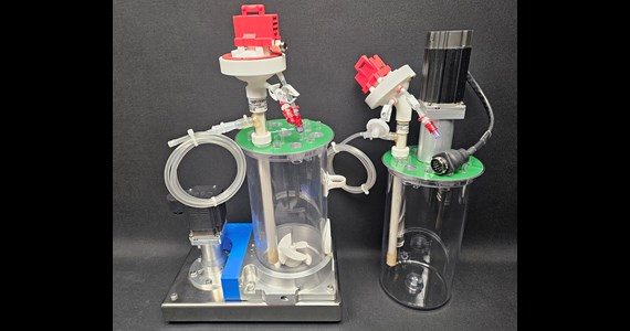 Talia Straigth and Angled