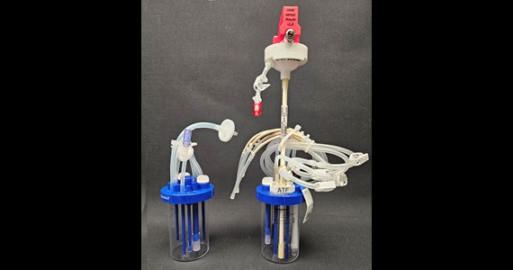 dual BioBLU batch and perfusion