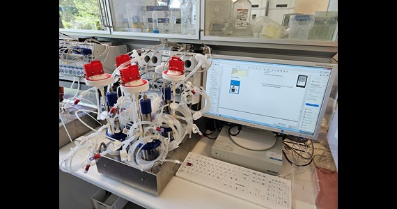 CellRetention 300 in DASbox